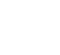 AQ.S